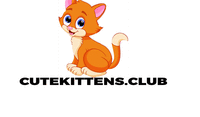 Cute kittens Club